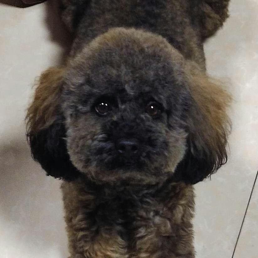 我独一无二的旺旺