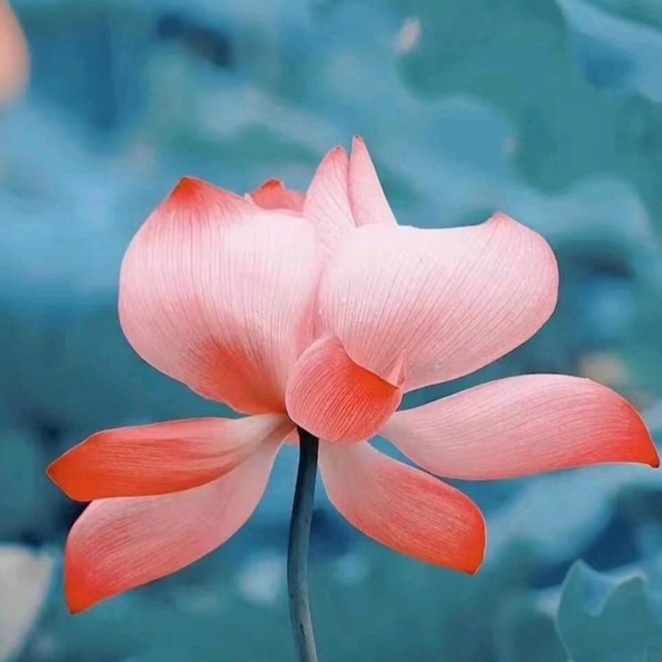 如人饮水，冷暖自知