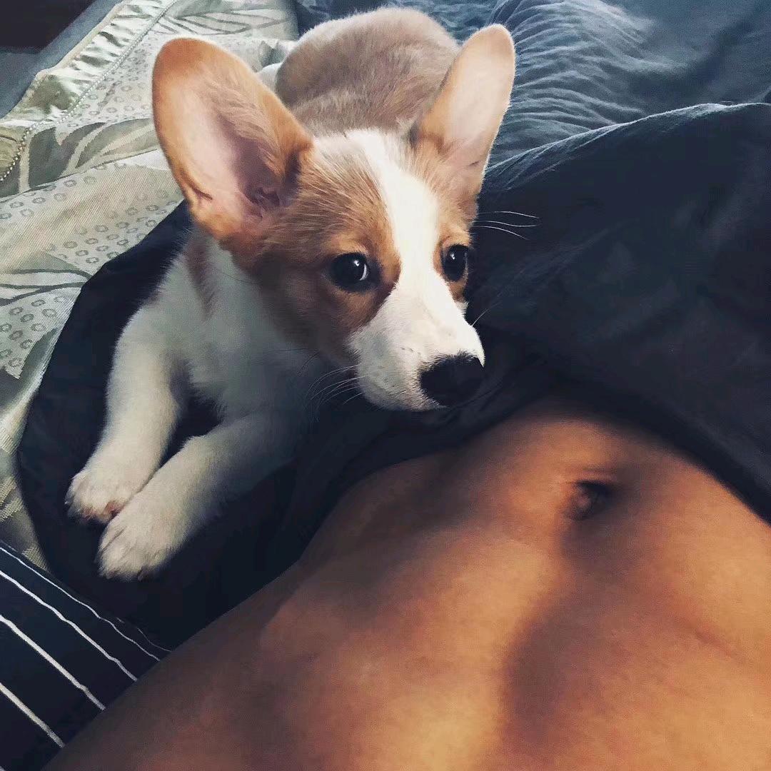 小罗