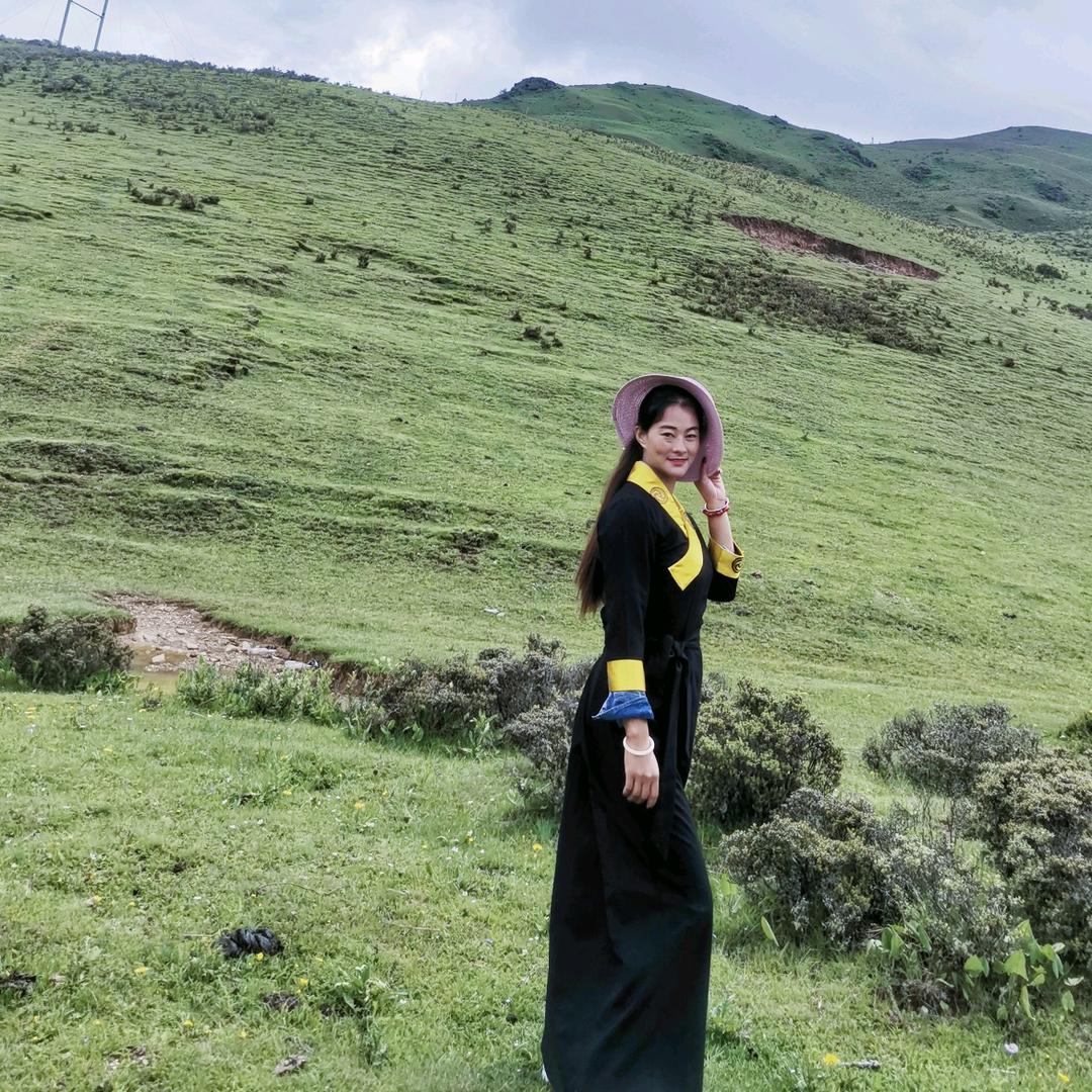 斯da 布chi