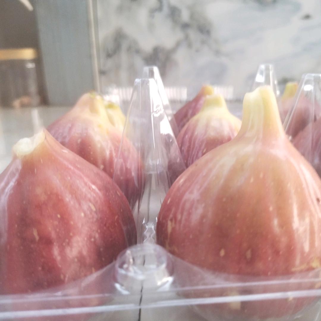 南城县辉兰生态果园