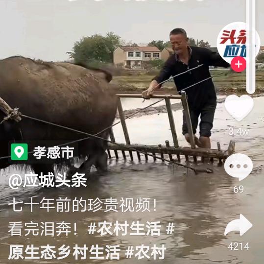 曾经拥有9946700668376