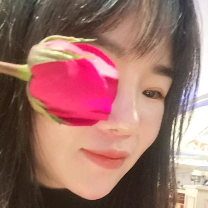 清扬婉兮