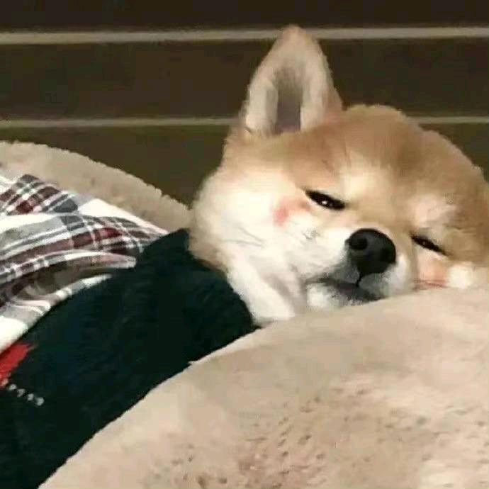 九