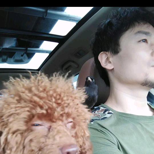 飞哥哥