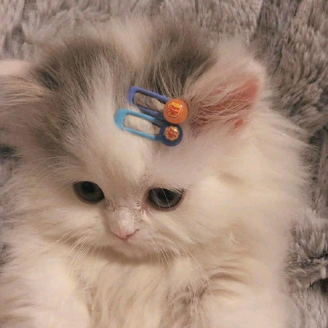 好人略略略