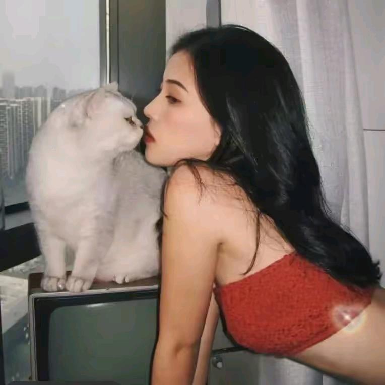 欢乐宋🥳🥳🥳