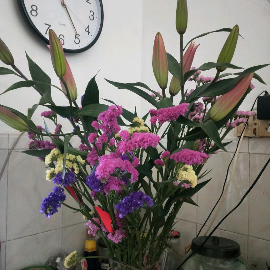 唐小雅