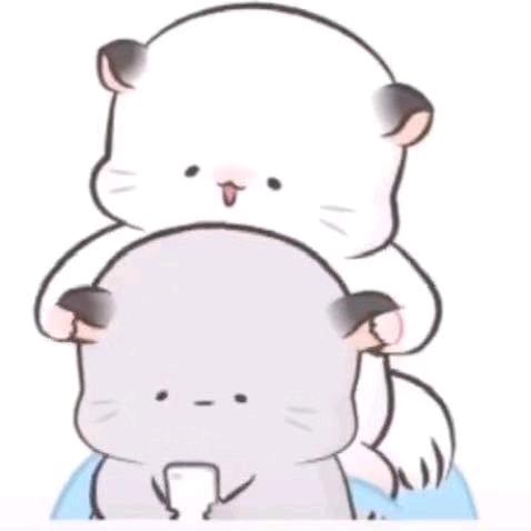 蛮蛮🐵