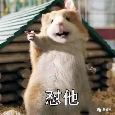 峡谷挨揍的80后