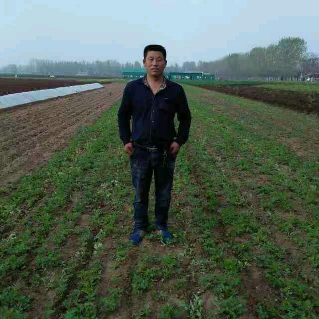 命不由人