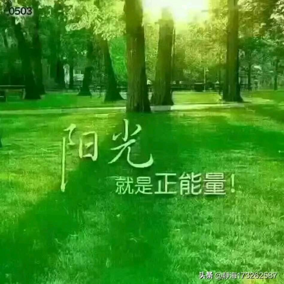 劉