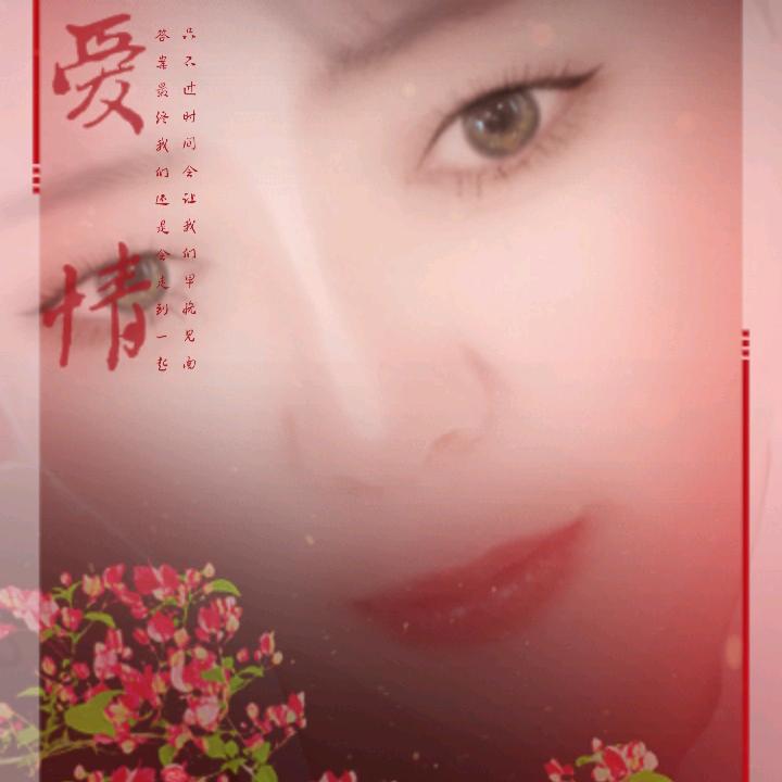 带刺的🌹梅🌹瑰6913750356