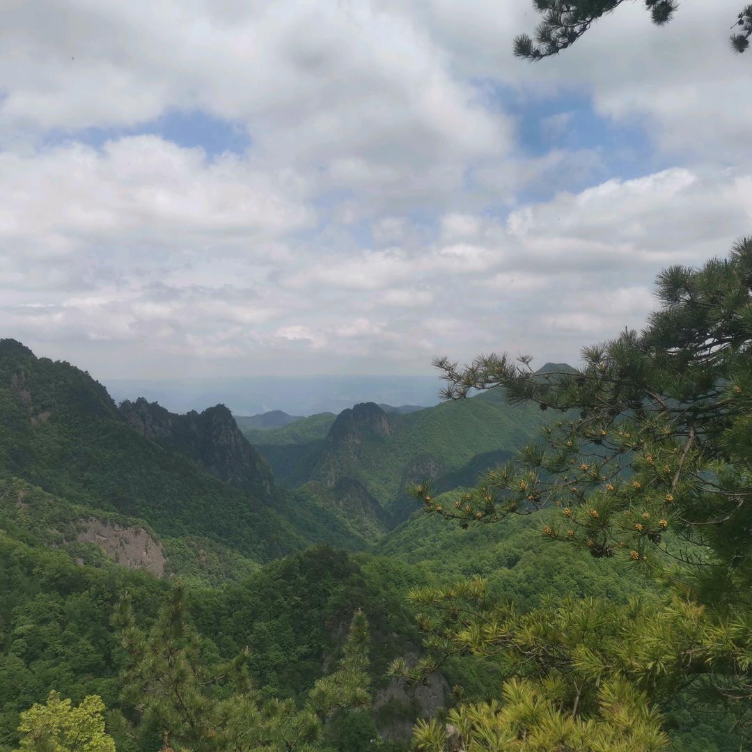 天山六阳@
