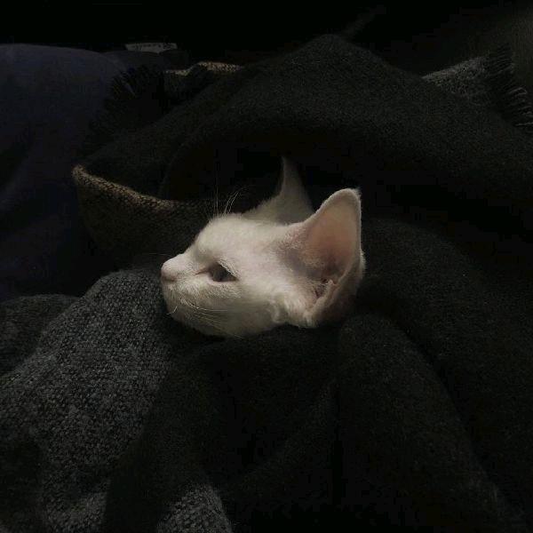 睡在贝加尔湖_