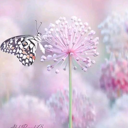 辩证逻辑的障碍