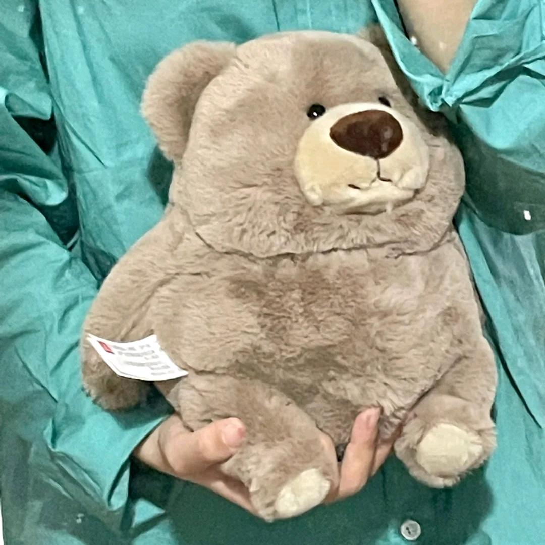 偷🐻计划ing