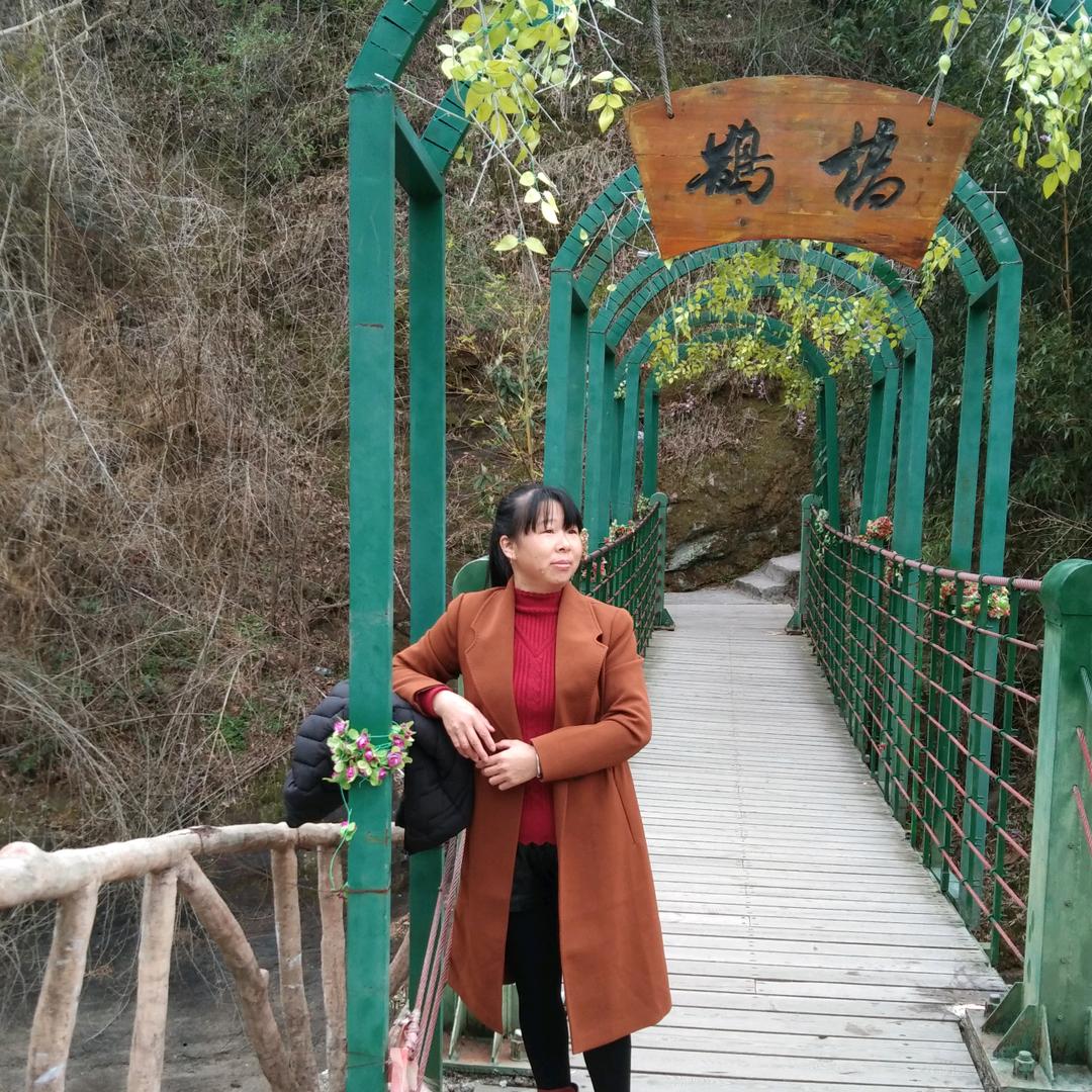 凤莲（农家特产）