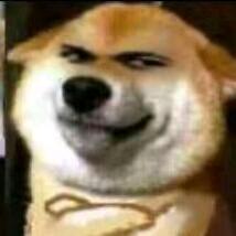 懒得起名