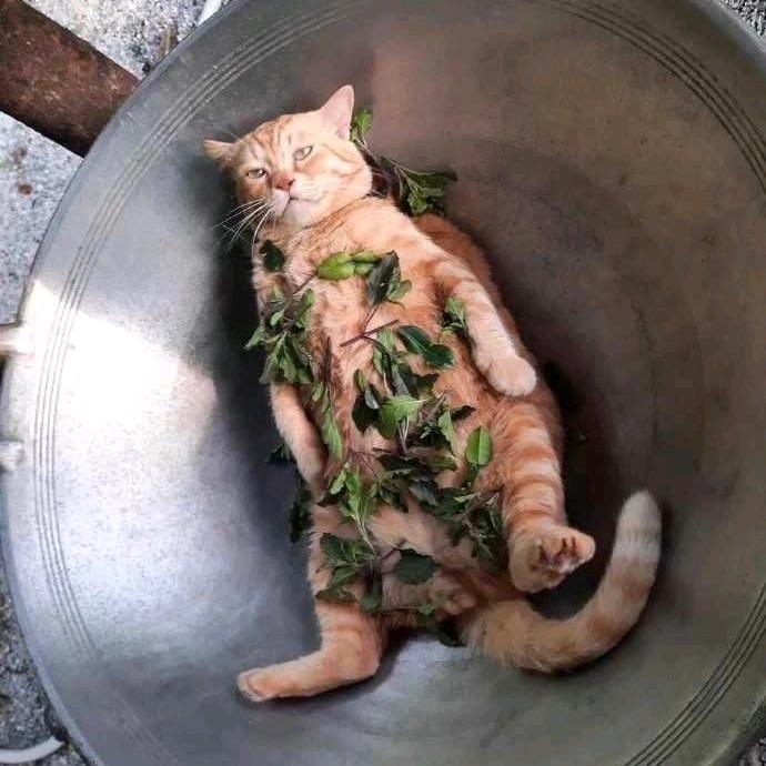 不信命 只信双手去打拼