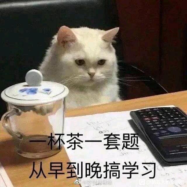 飞飞飞飞上天的小羽毛