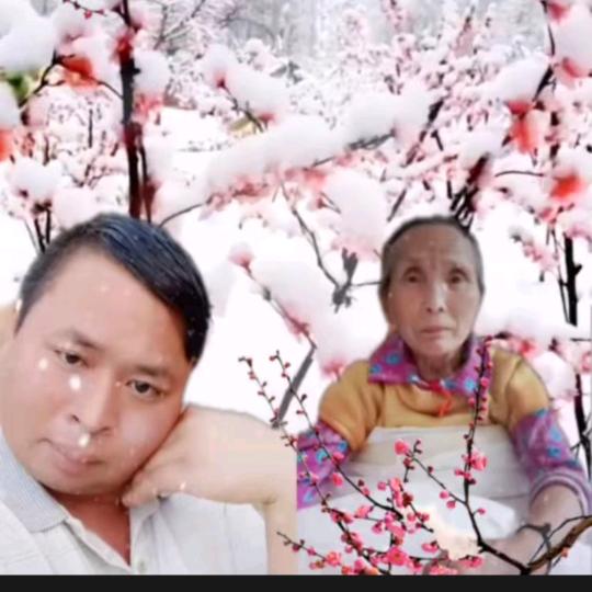 @找挖机装裁机开求生活【619】