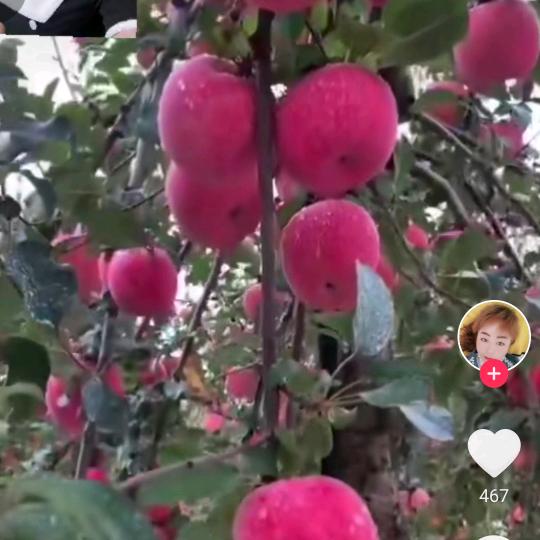 余生来相遇