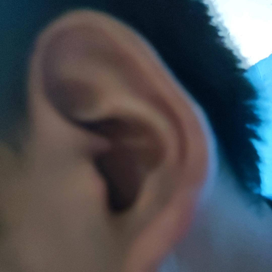 粉骨碎身浑不怕，只留清白在人间