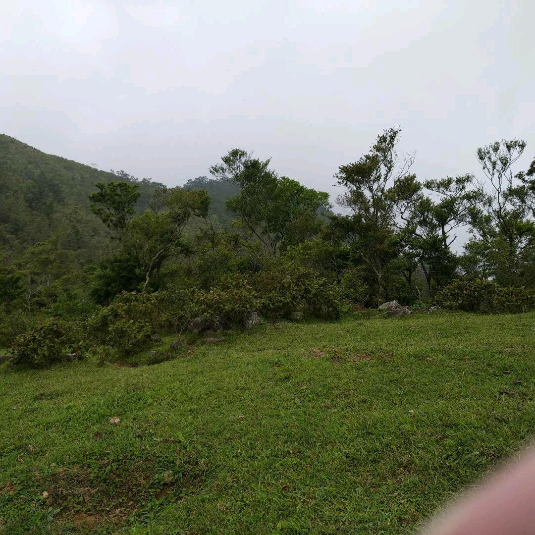 缘分一道桥