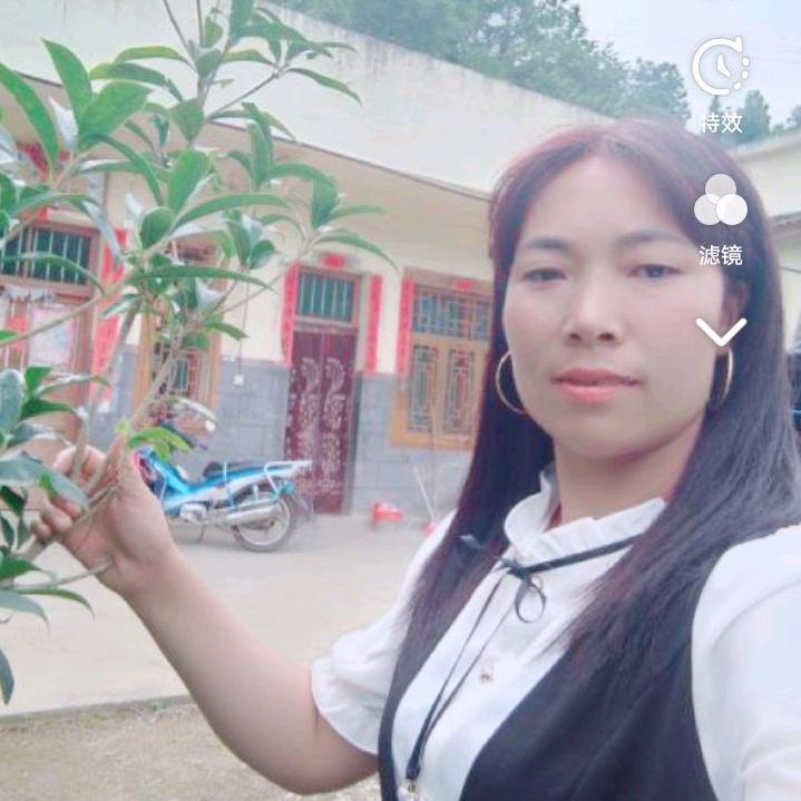 美梦成真天天好运（杜）