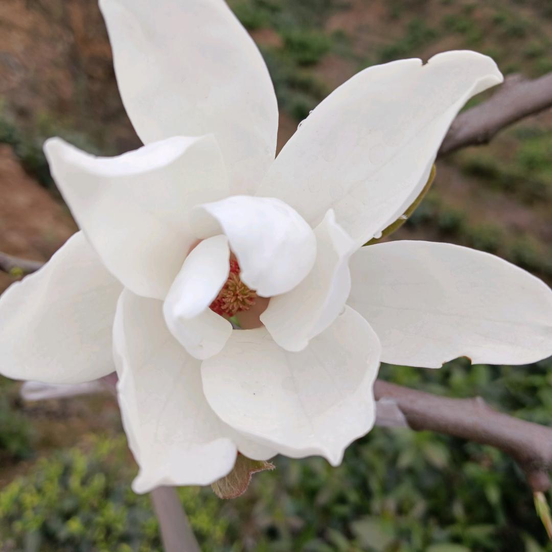 💕᭄ꦿ很ᮩ້幸运ོ࿆遇见你᭄🕊