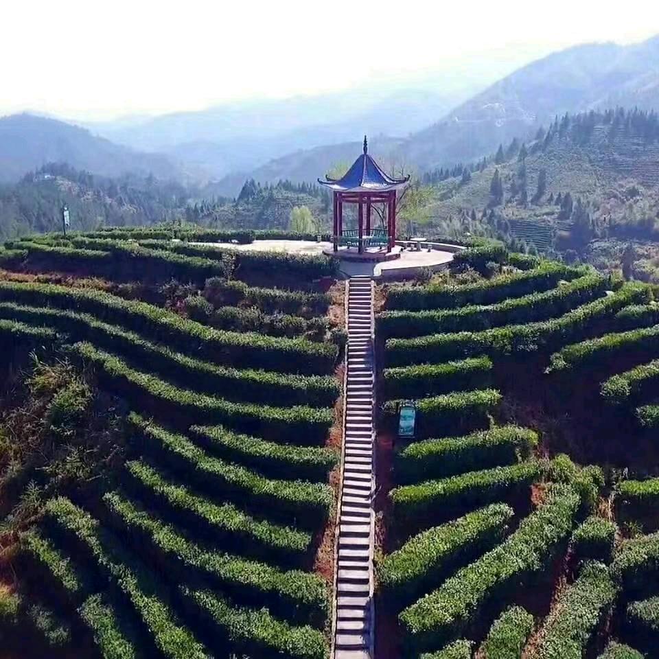 顺其自然