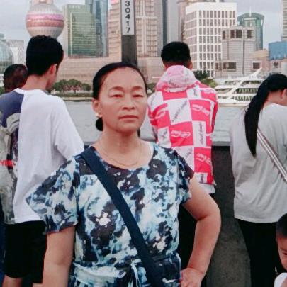 大菊