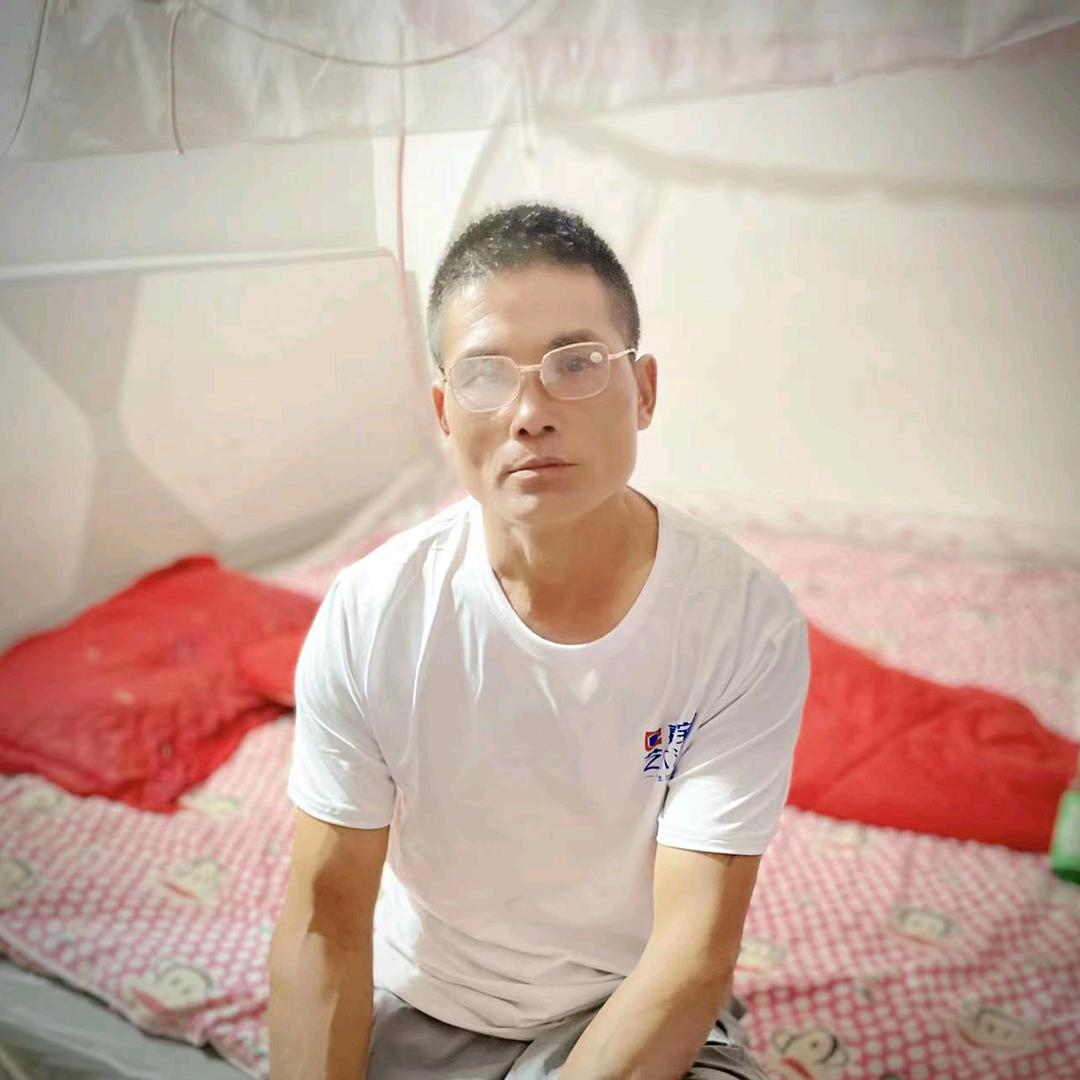 老五专业挖树