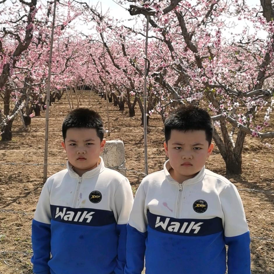 菩提