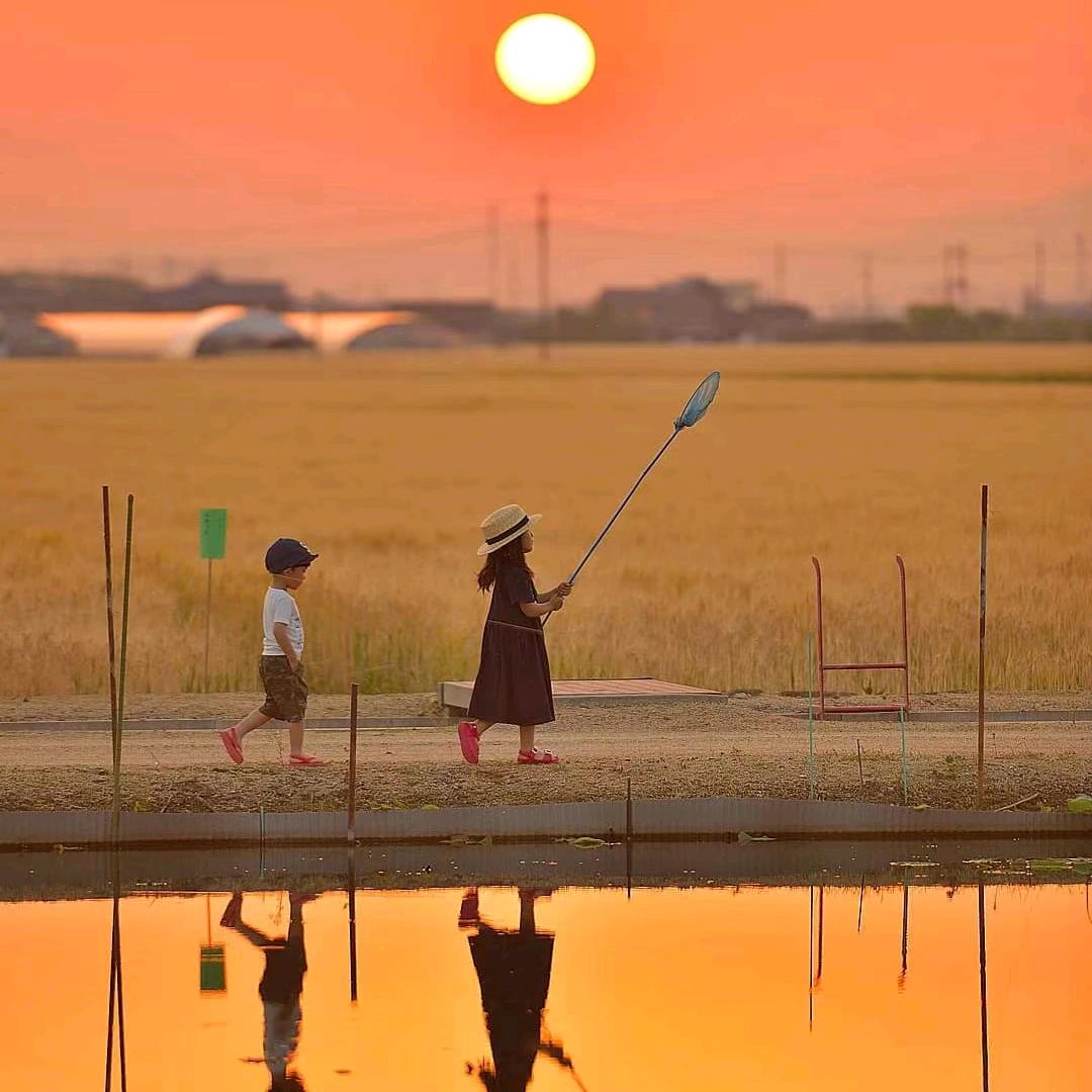 笑看风云（小说推文）