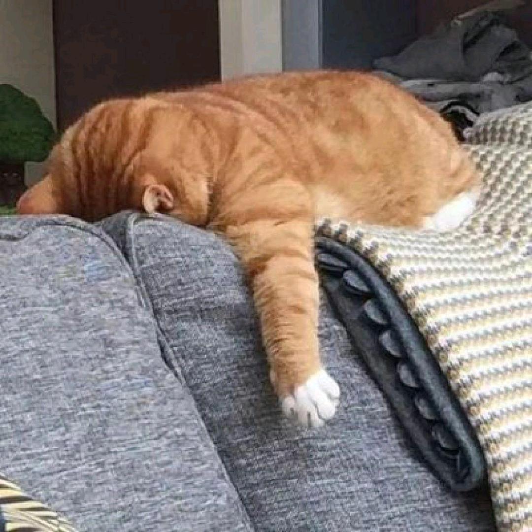 ID角度