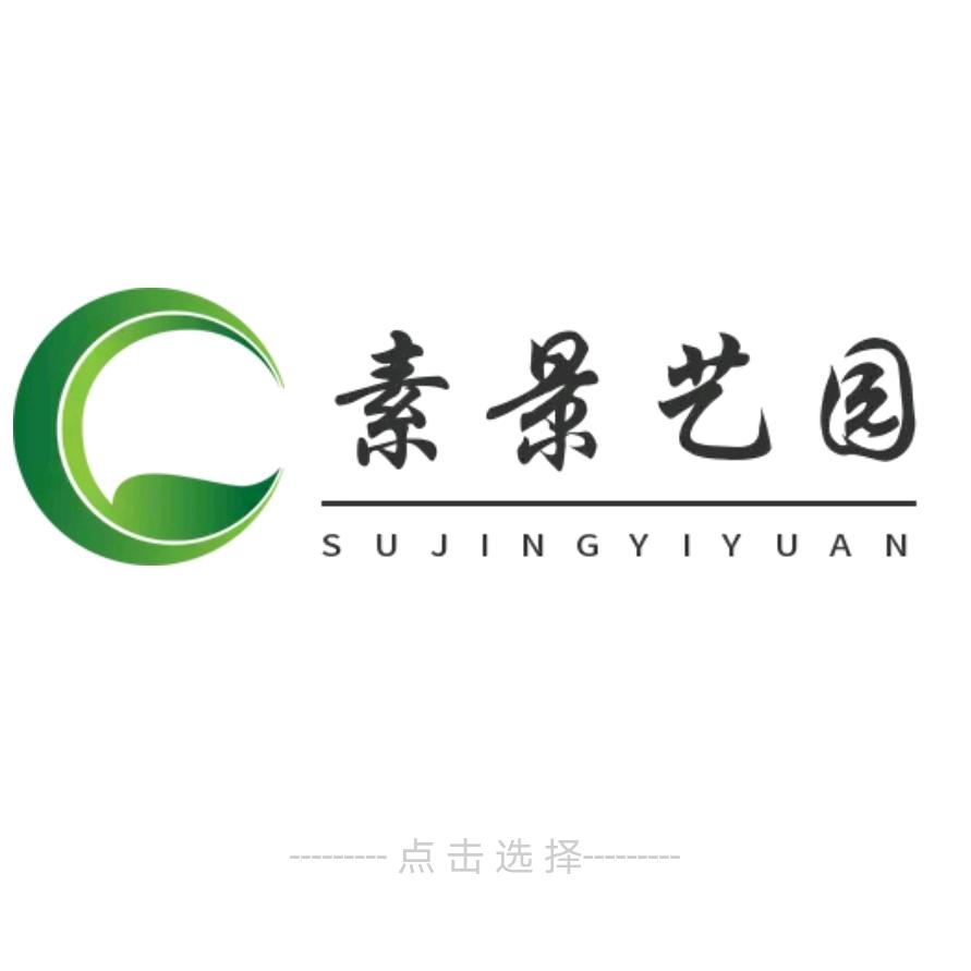 两江新区盆景艺园