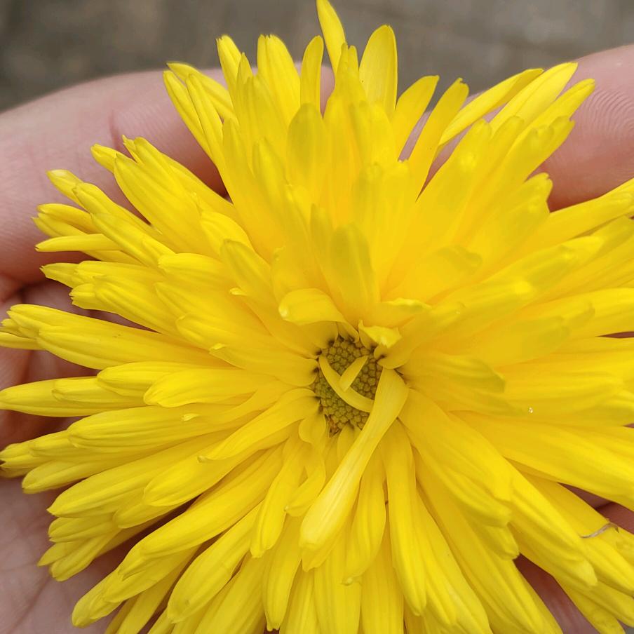 奶茶咖啡736🐶⁹²⁵⁵