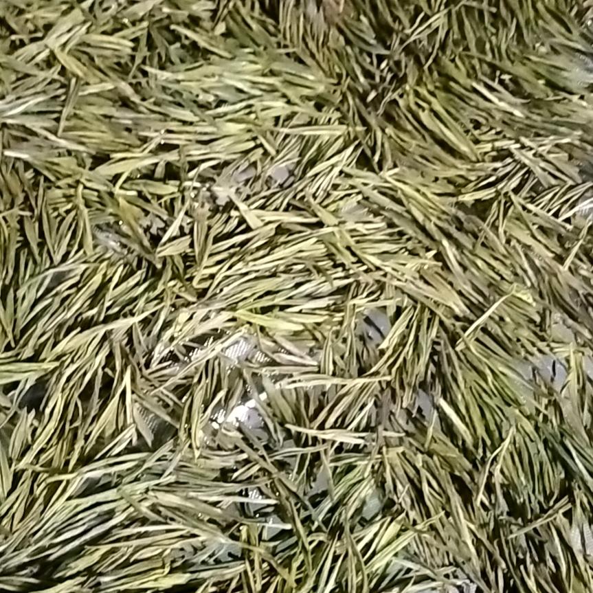 祝你好运