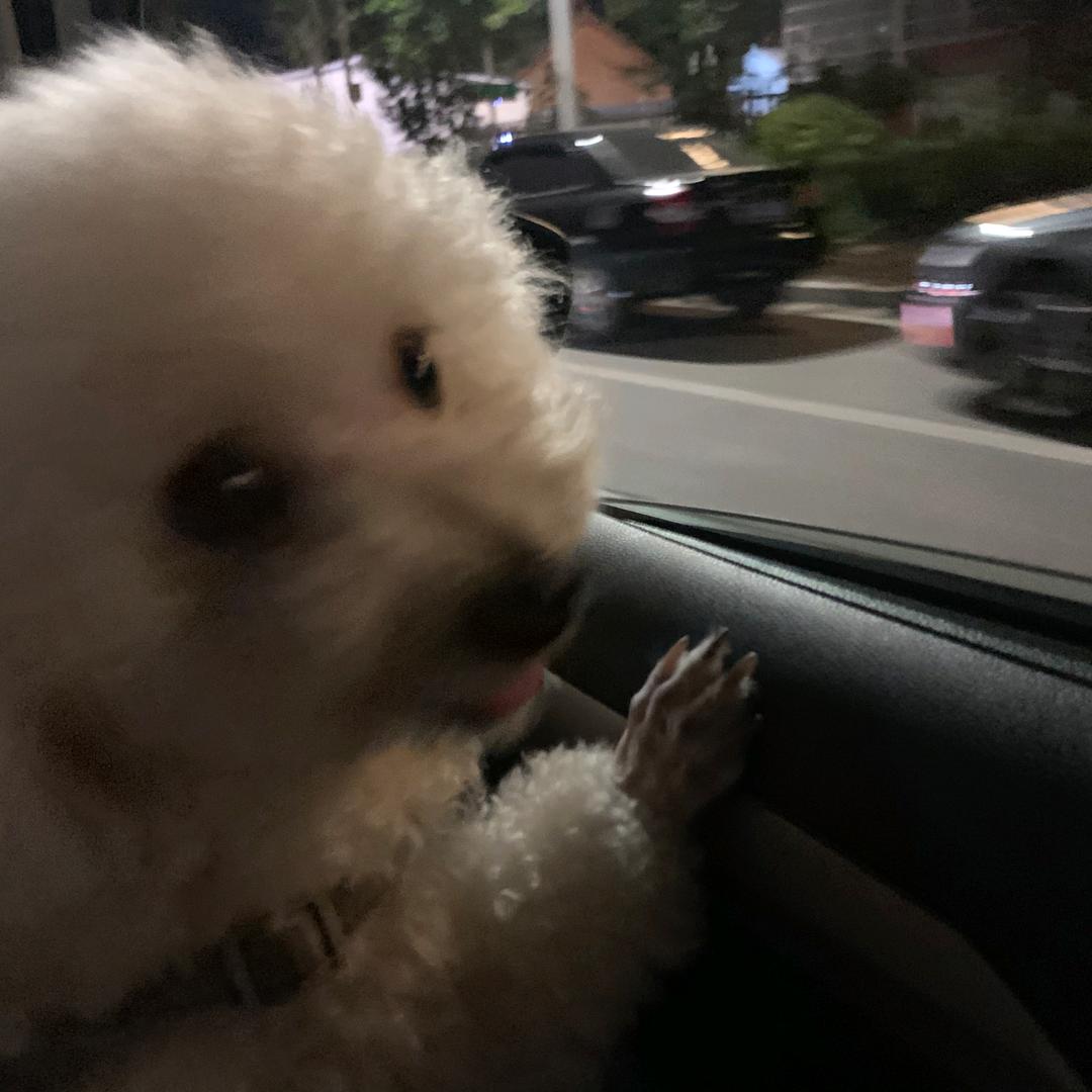 @家有 球宝