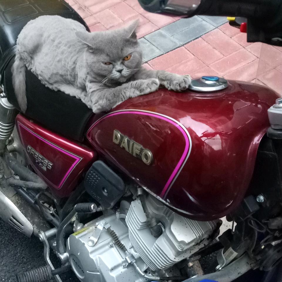 专业水管测漏，开孔，墙体切割