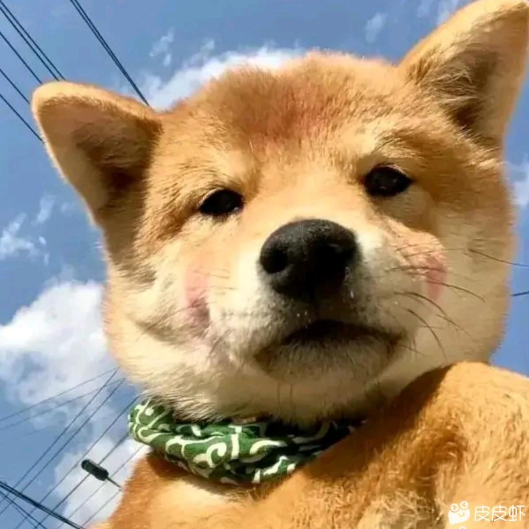 陈啊铭