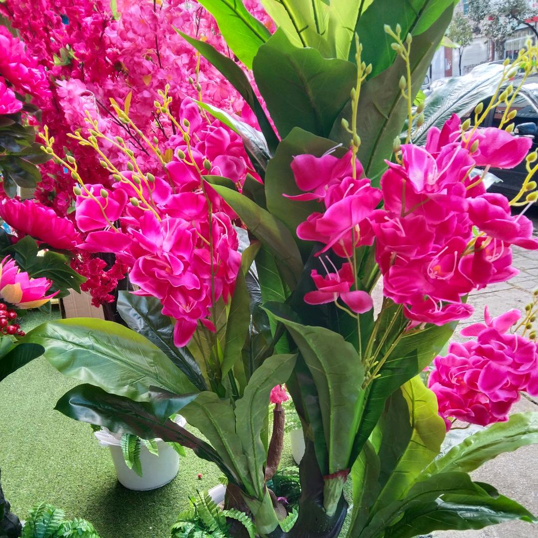 花灯