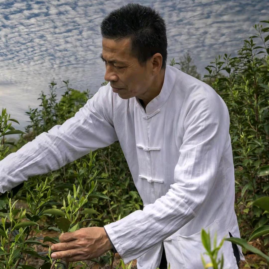 用户老茶匠！林啟贵R