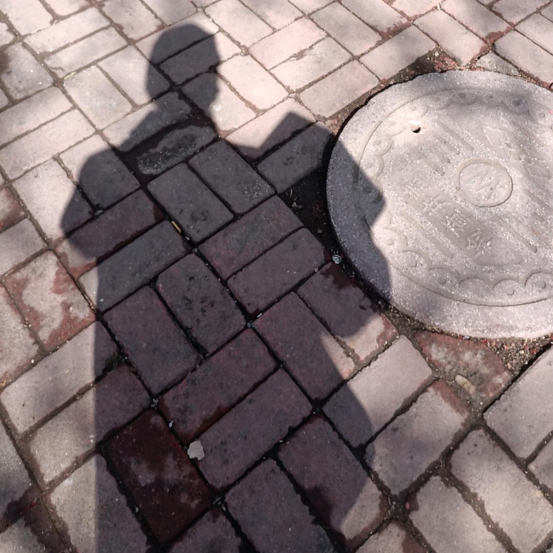 程贺特效