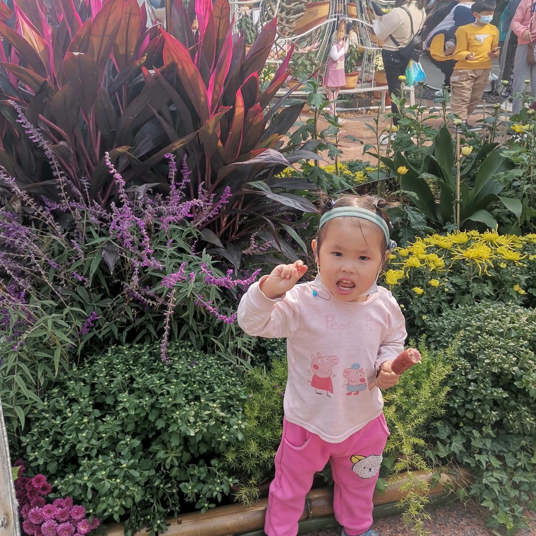 $艳阳天&