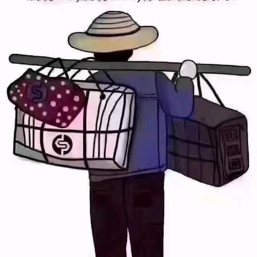 南方.