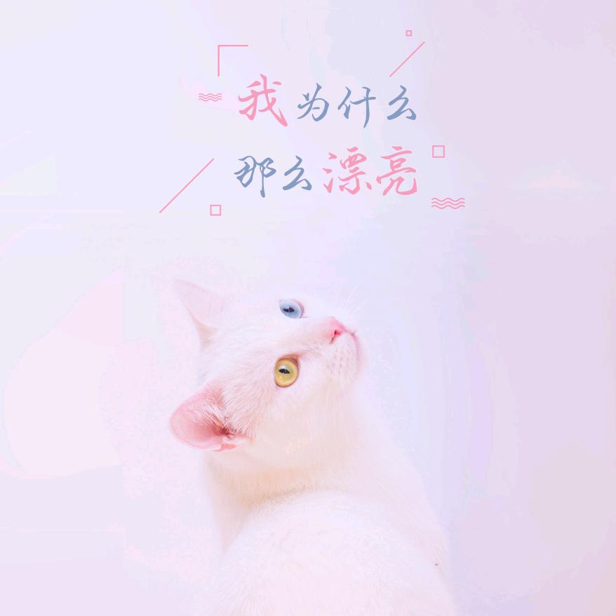用户8308476887069