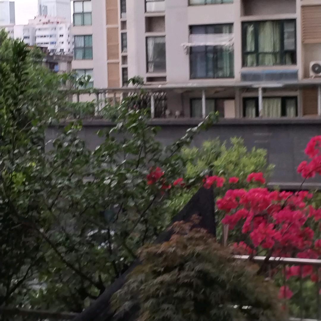 余叔叔，你好！